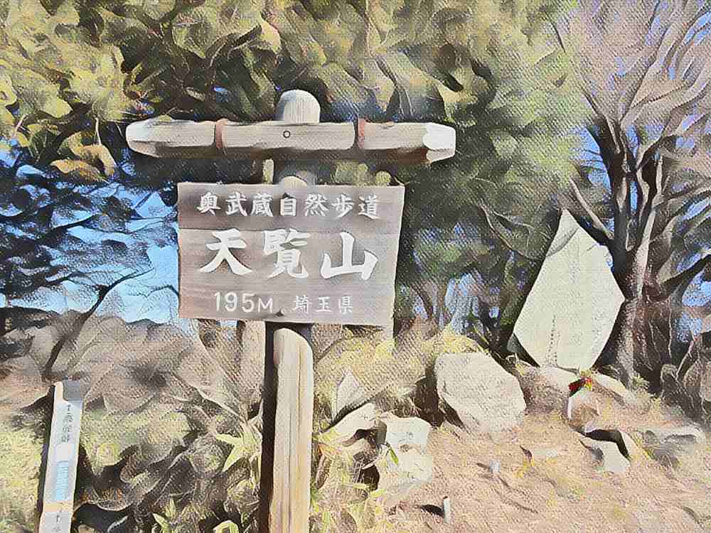天覧山